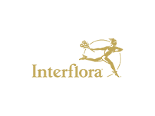 Hasta un 15% de ahorro Interflora en productos seleccionados sección Entrega Express Promo Codes